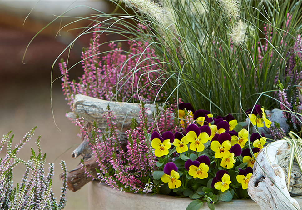 TERRASSENTRENDS IM HERBST