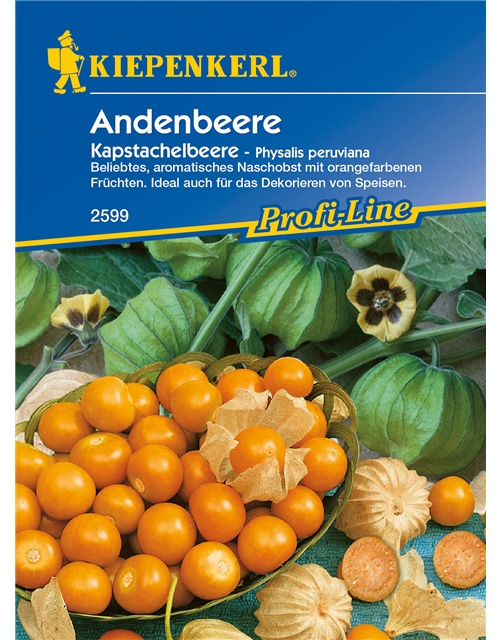 Andenbeere