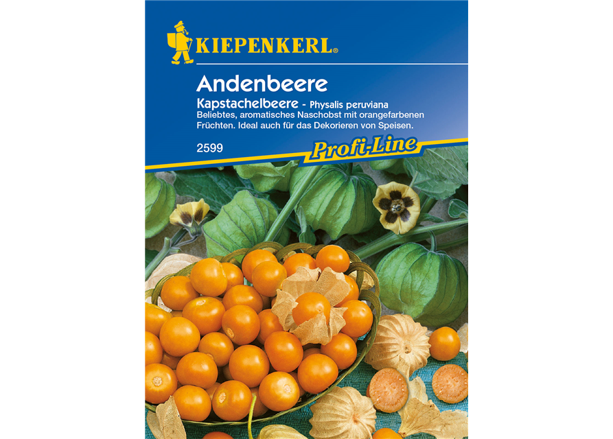 Andenbeere