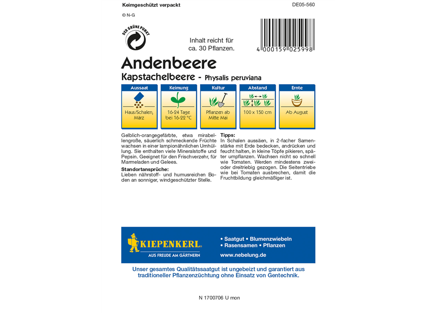 Andenbeere