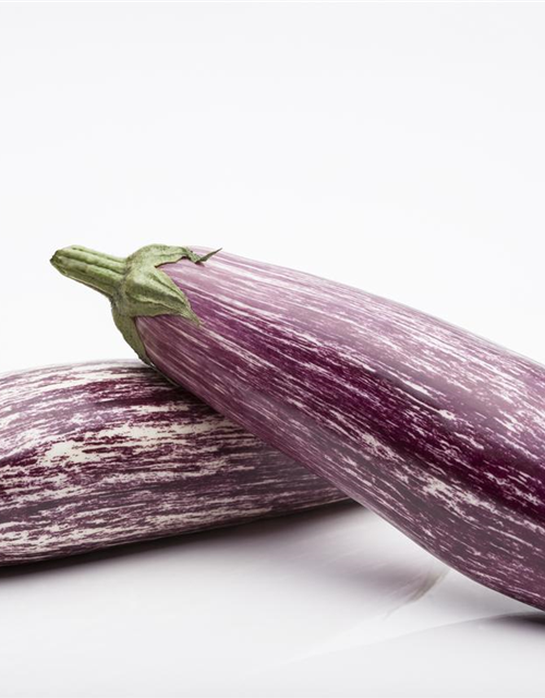 Aubergine 'Lucilla'