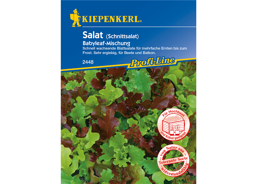 Babyleaf-Salat