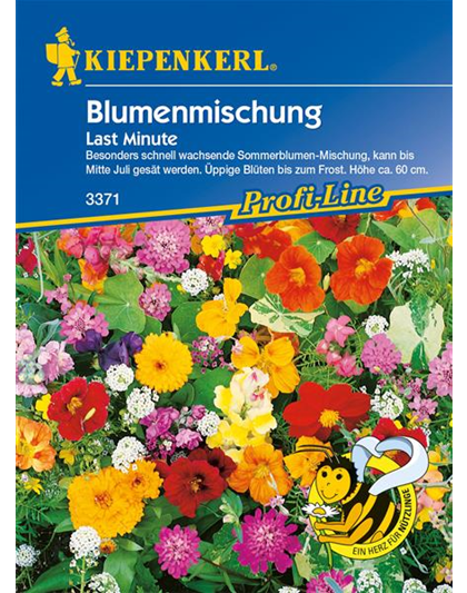 Blumenmischung 'Last Minute'