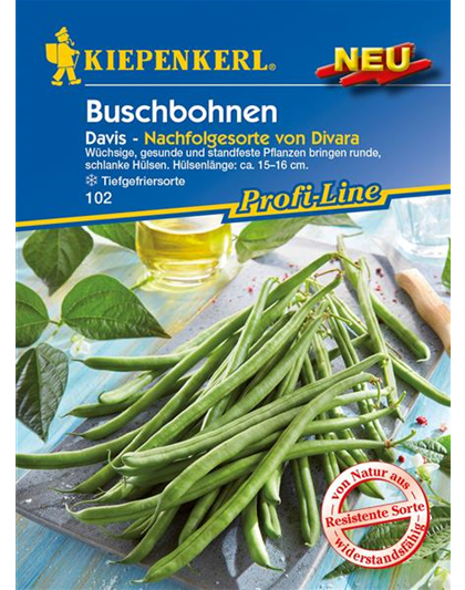 Buschbohne 'Davis'