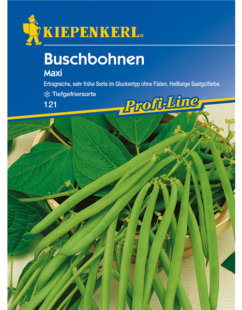 Busch-Bohne 'Maxi'