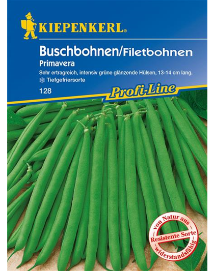 Busch-Bohne 'Primavera'