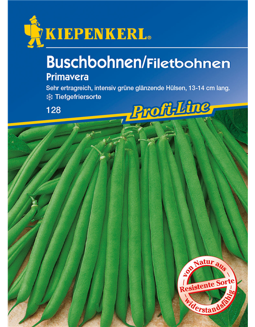 Busch-Bohne 'Primavera'