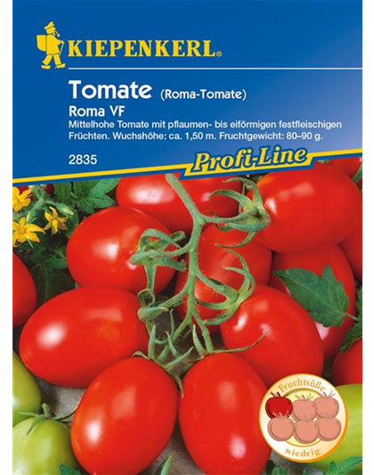 Buschtomate 'Roma'