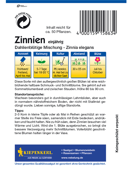 Dahlienblütige Zinnie