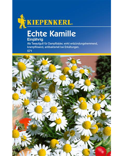 Echte Kamille