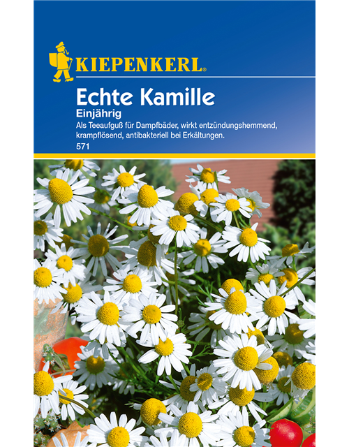 Echte Kamille