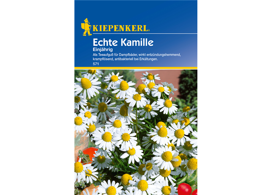 Echte Kamille