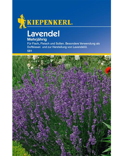 Echter Lavendel