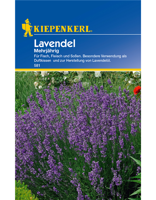 Echter Lavendel