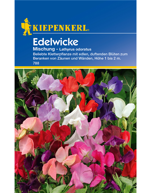 Edelwicke 'Mischung'