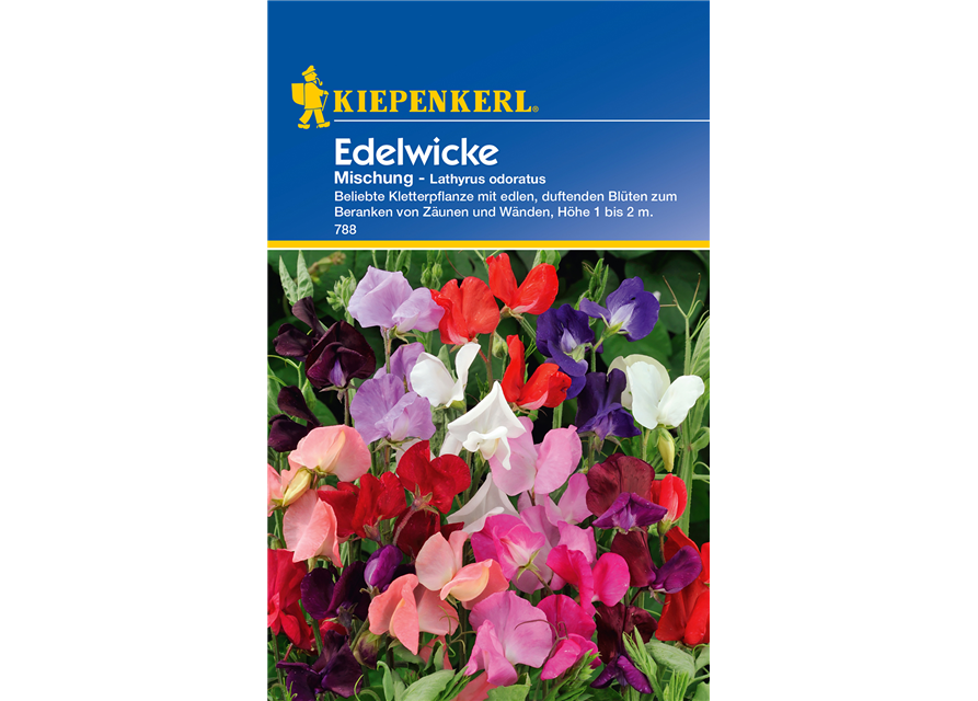 Edelwicke 'Mischung'