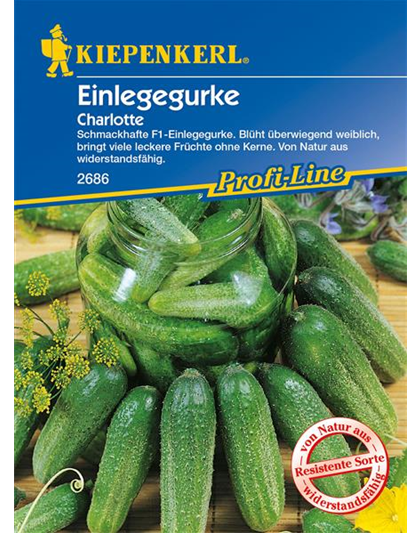 Einlege-Gurke 'Charlotte F1'