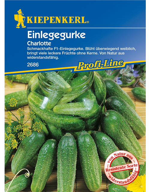 Einlege-Gurke 'Charlotte F1'