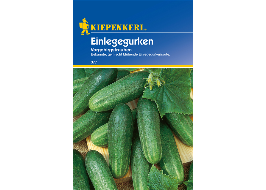 Einlege-Gurke 'Vorgebirgstrauben'