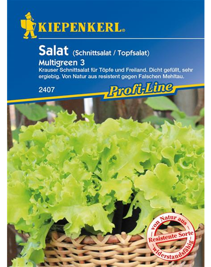 Eisbergsalat 'Multigreen 3'