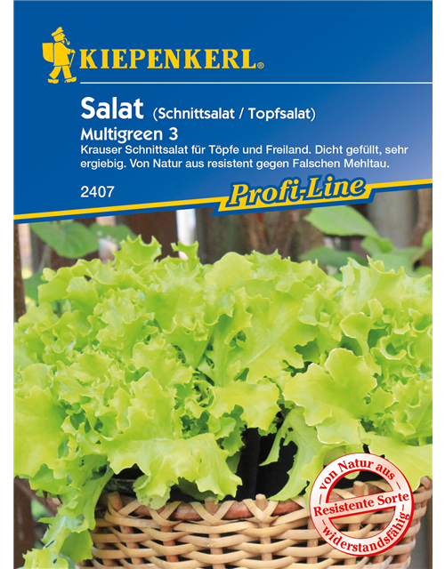 Eisbergsalat 'Multigreen 3'