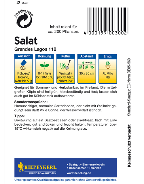 Eis-Krachsalat 'Great Lakes 118'