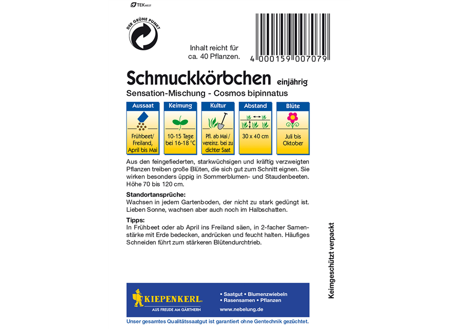 Fiederblättriges Schmuckkörbchen