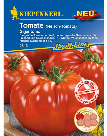 Fleischtomate 'Gigantomo F1'