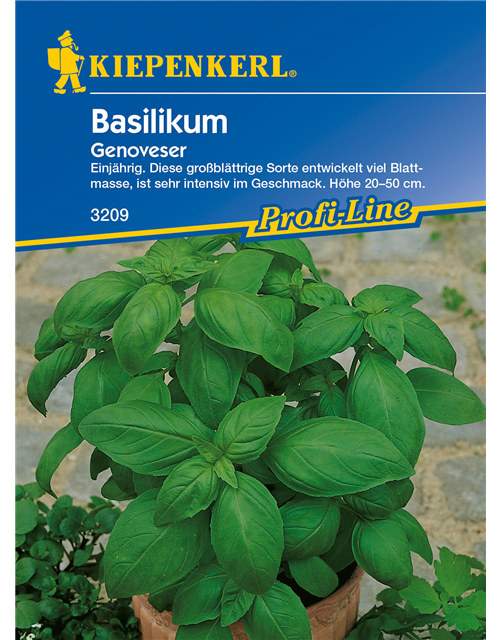 Garten-Basilikum 'Genoveser'