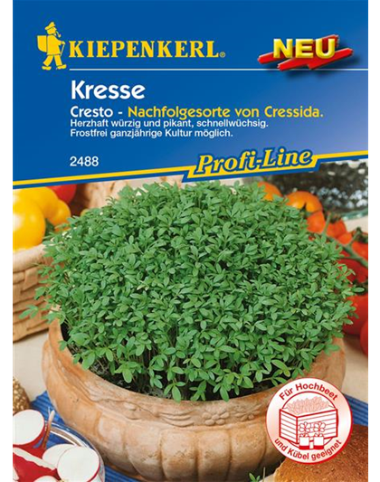 Gartenkresse 'Cresto'