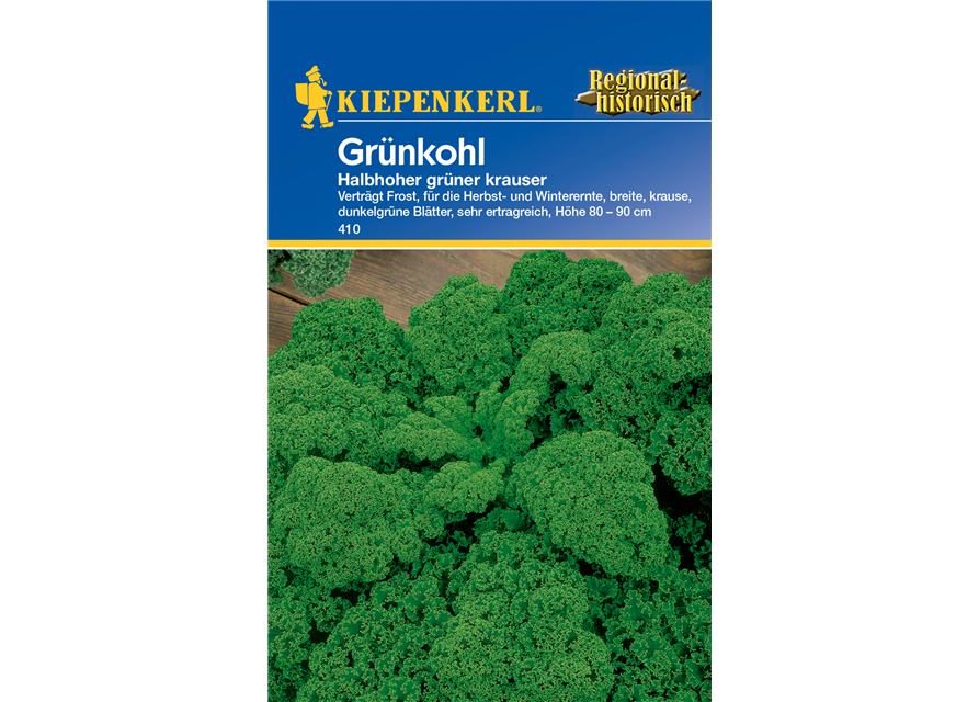 Grünkohl 'Halbhoher Grüner Krauser'