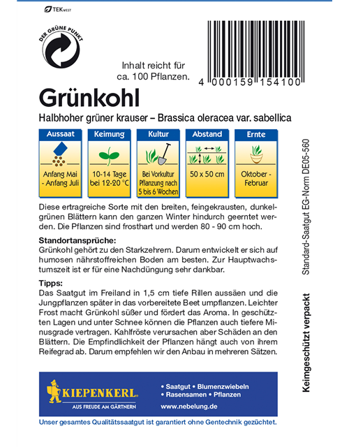 Grünkohl 'Halbhoher Grüner Krauser'