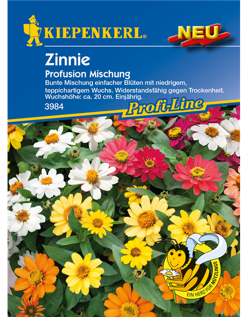 Haage-Zinnie 'Profusion'