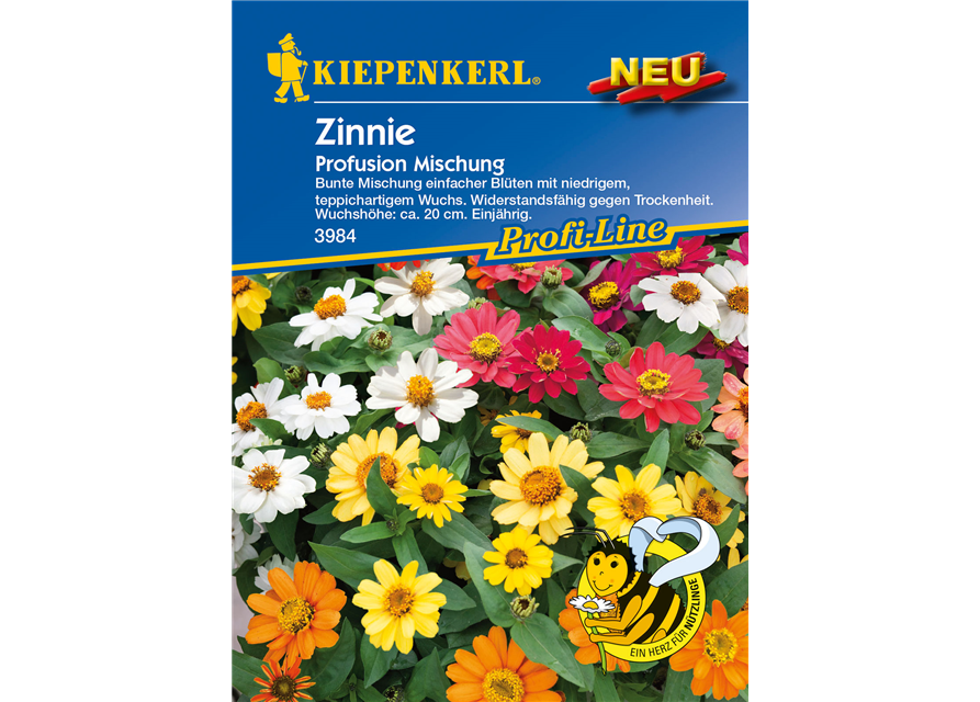 Haage-Zinnie 'Profusion'