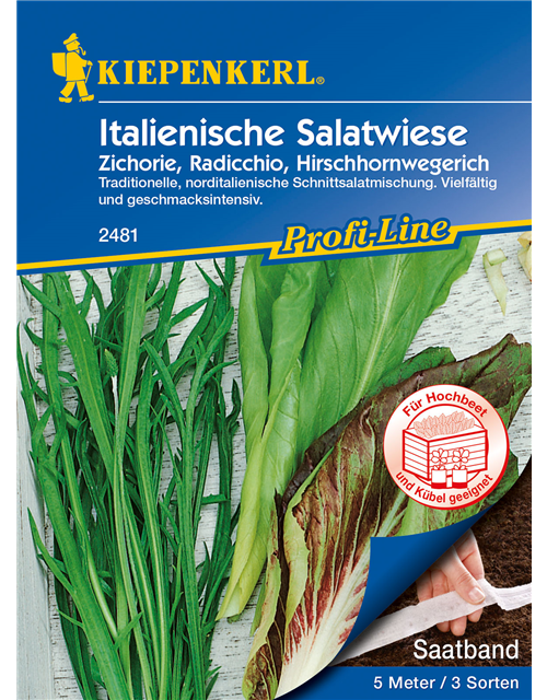 Italienische Salatwiese