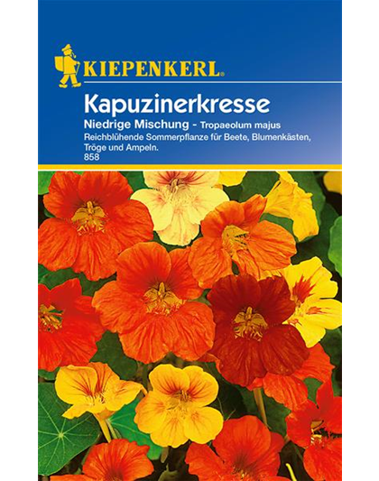 Kapuzinerkresse 'Niedrige Mischung'