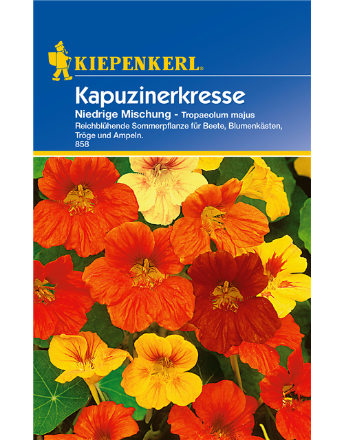 Kapuzinerkresse 'Niedrige Mischung'