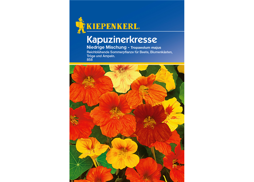 Kapuzinerkresse 'Niedrige Mischung'