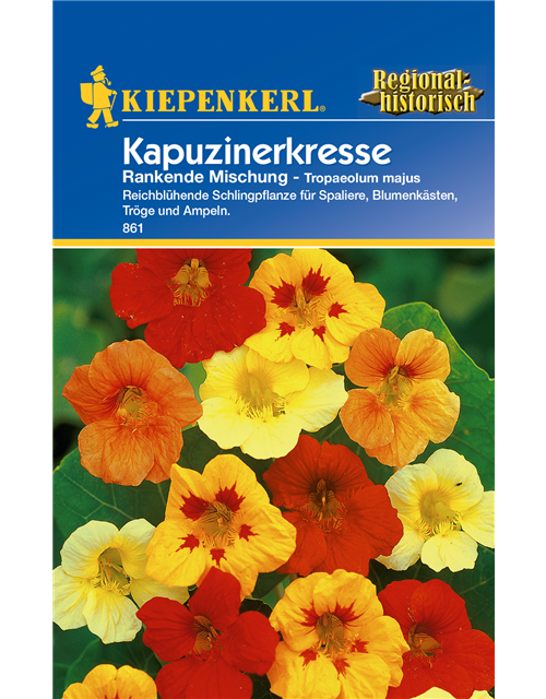 Kapuzinerkresse 'Rankende Mischung'