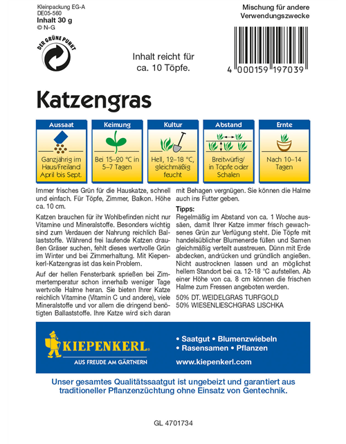 Katzengras