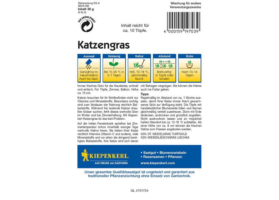 Katzengras