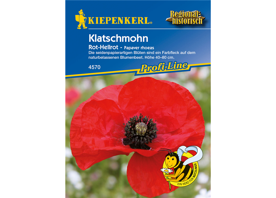 Klatsch-Mohn