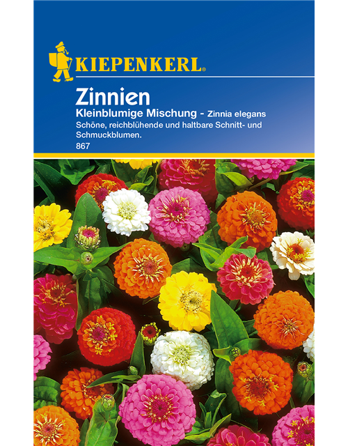 Kleinblütige Zinnie