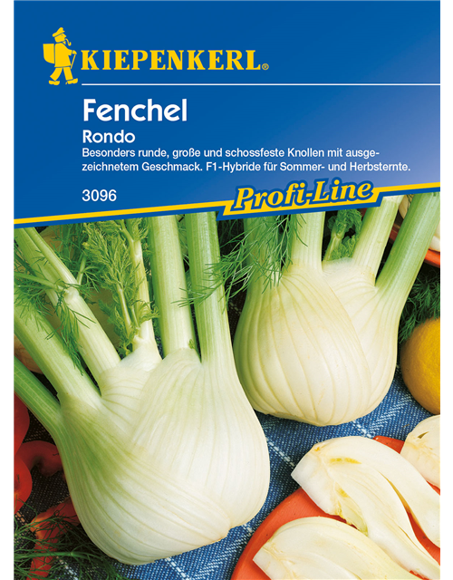 Knollenfenchel 'Rondo'