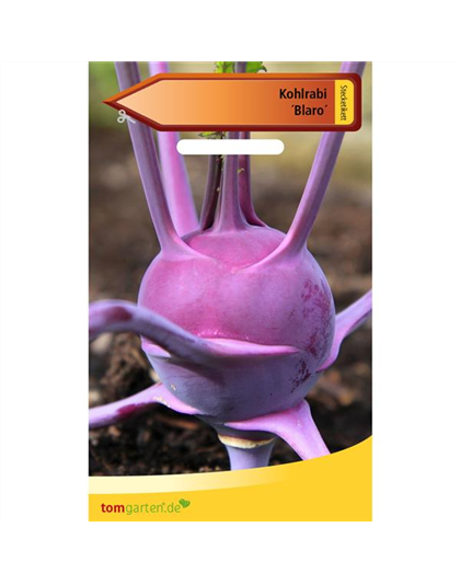 Kohlrabi 'Blaro'