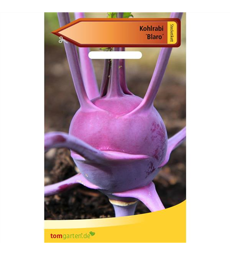 Kohlrabi 'Blaro'