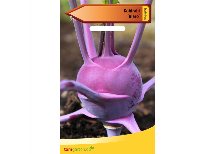 Kohlrabi 'Blaro'