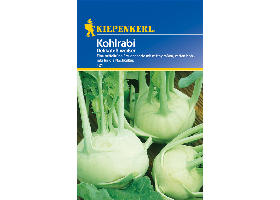 Kohlrabi 'Weißer Delikateß'