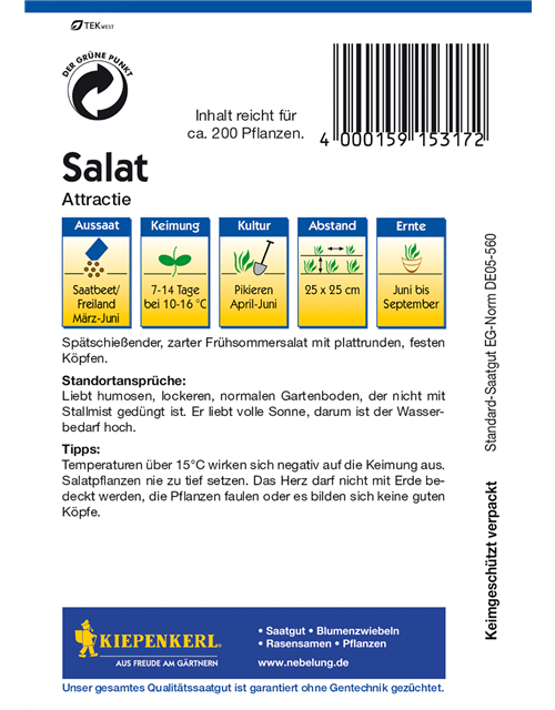 Kopfsalat 'Attraktion'