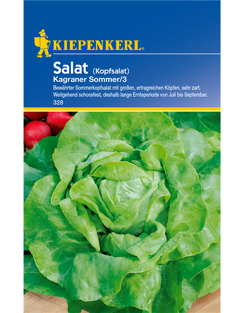 Kopfsalat 'Kagraner Sommer 2'